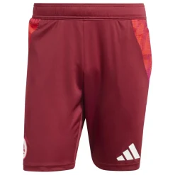 Uomo AS Roma Pantaloncini<Pantaloncino da allenamento , Rosso